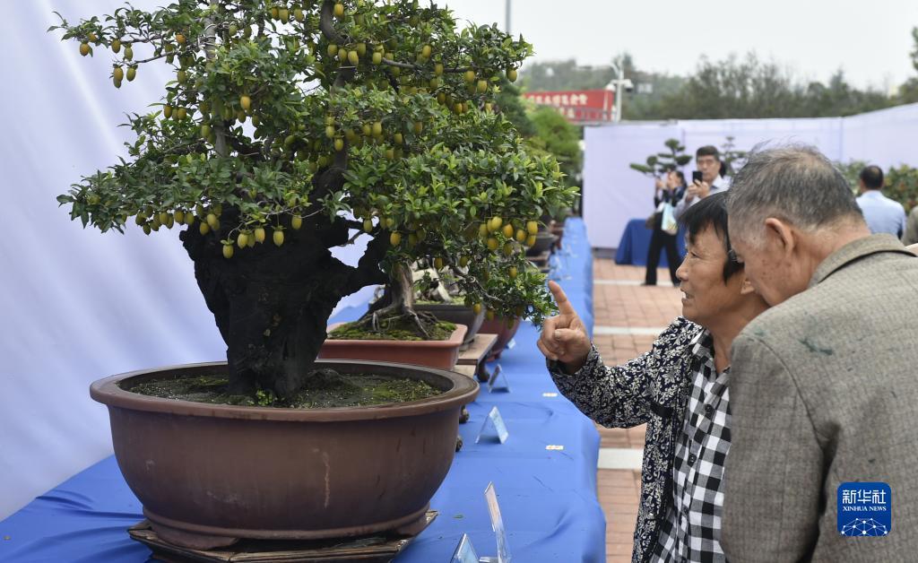山东福利彩票官方网站